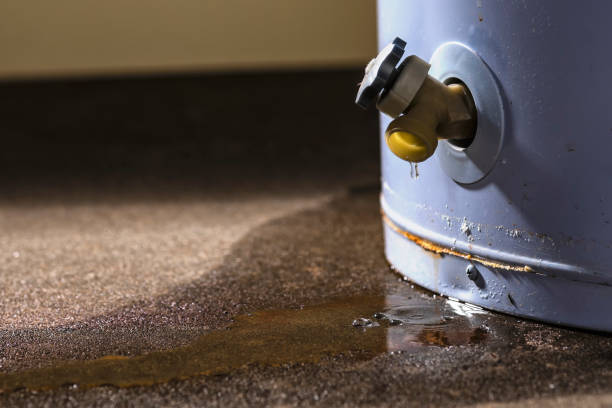Best 24/7 water damage repair  in Utica, SC