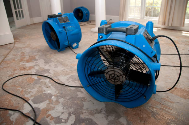 Best Carpet water damage restoration  in Utica, SC