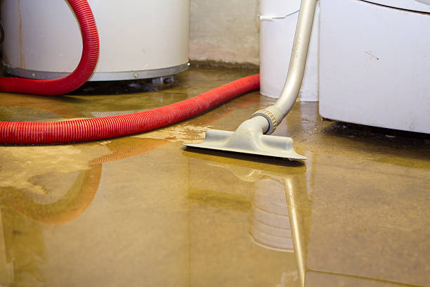 Best 24/7 water damage repair  in Utica, SC