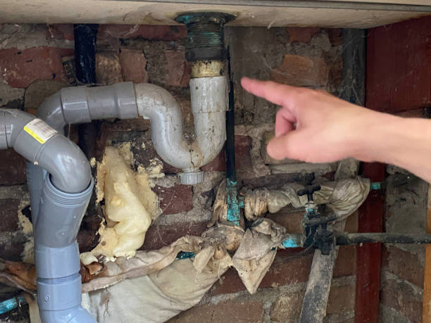 Best Flooded house restoration  in Utica, SC