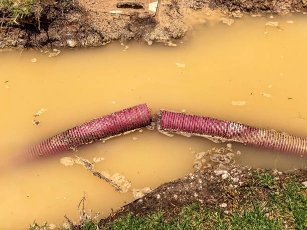 Best Local water damage restoration  in Utica, SC