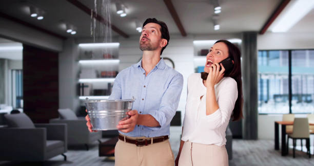 Best Water damage restoration experts  in Utica, SC